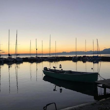 Villa Moderne, A 2 Pas Du Lac Leman 锡耶 外观 照片