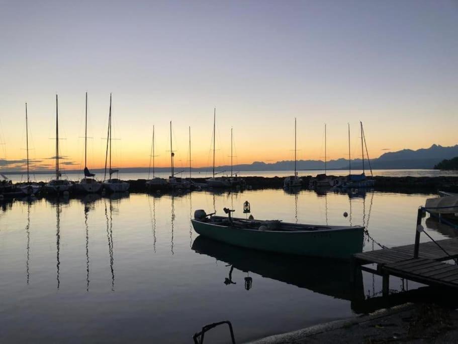 Villa Moderne, A 2 Pas Du Lac Leman 锡耶 外观 照片